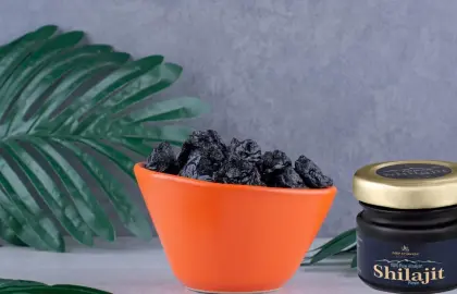 Top 5 Best Shilajit in India (2025)